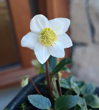 Un Air De Bourlingueurs Bed & Breakfast 3*